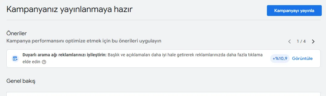 Google Ads kampanya ön izleme ekranı